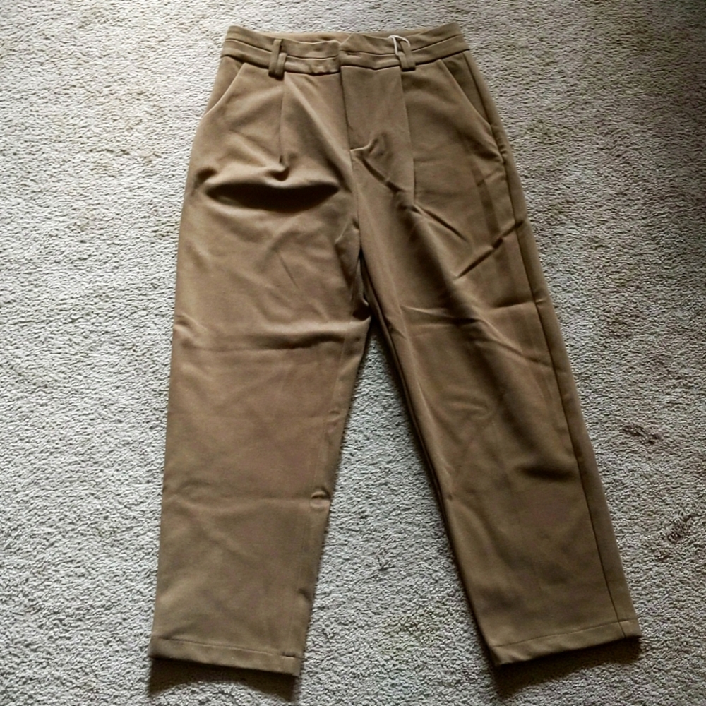 Pleated Brown Pants
